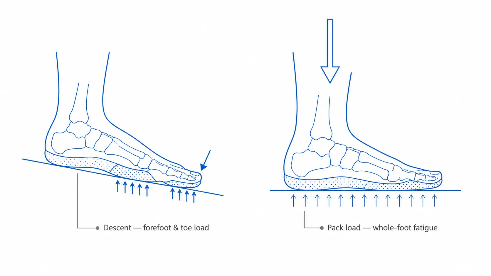 Diagram of hiking foot loads — a foot on a downhill slope loading the forefoot and toes, and a foot under backpack weight loading the whole foot