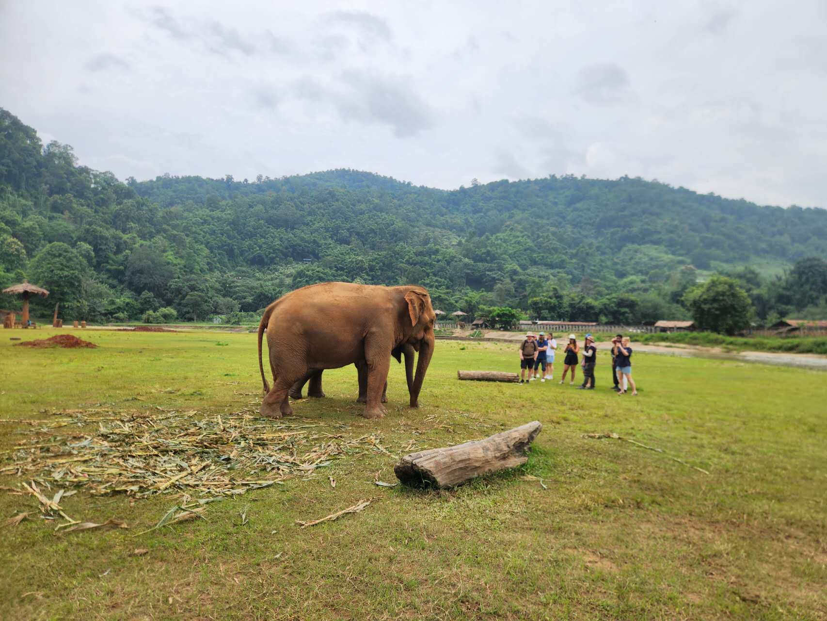 Um dia a pé em Chiang Mai