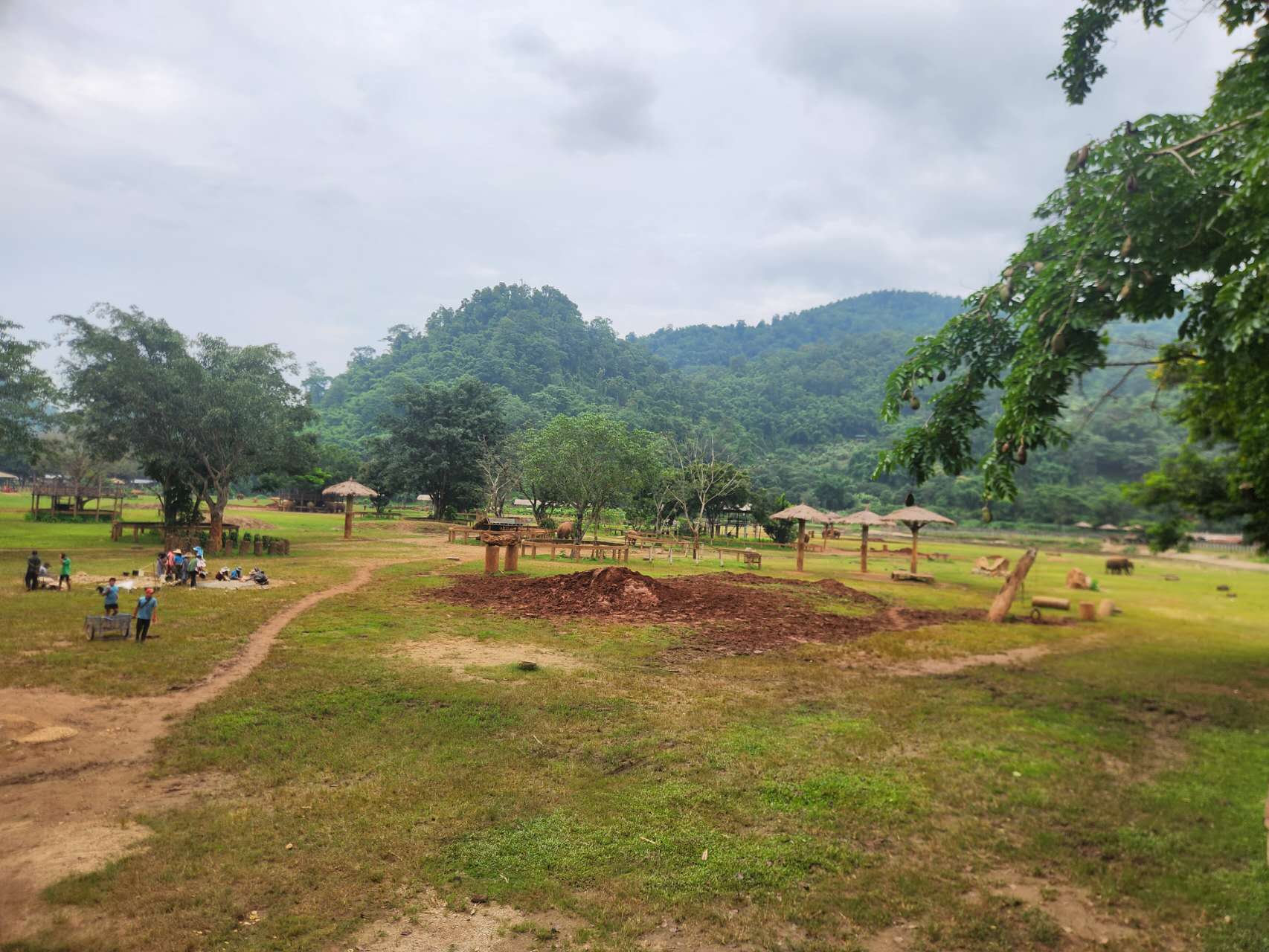 O terreno · terra, grama, inclinação e umidade
