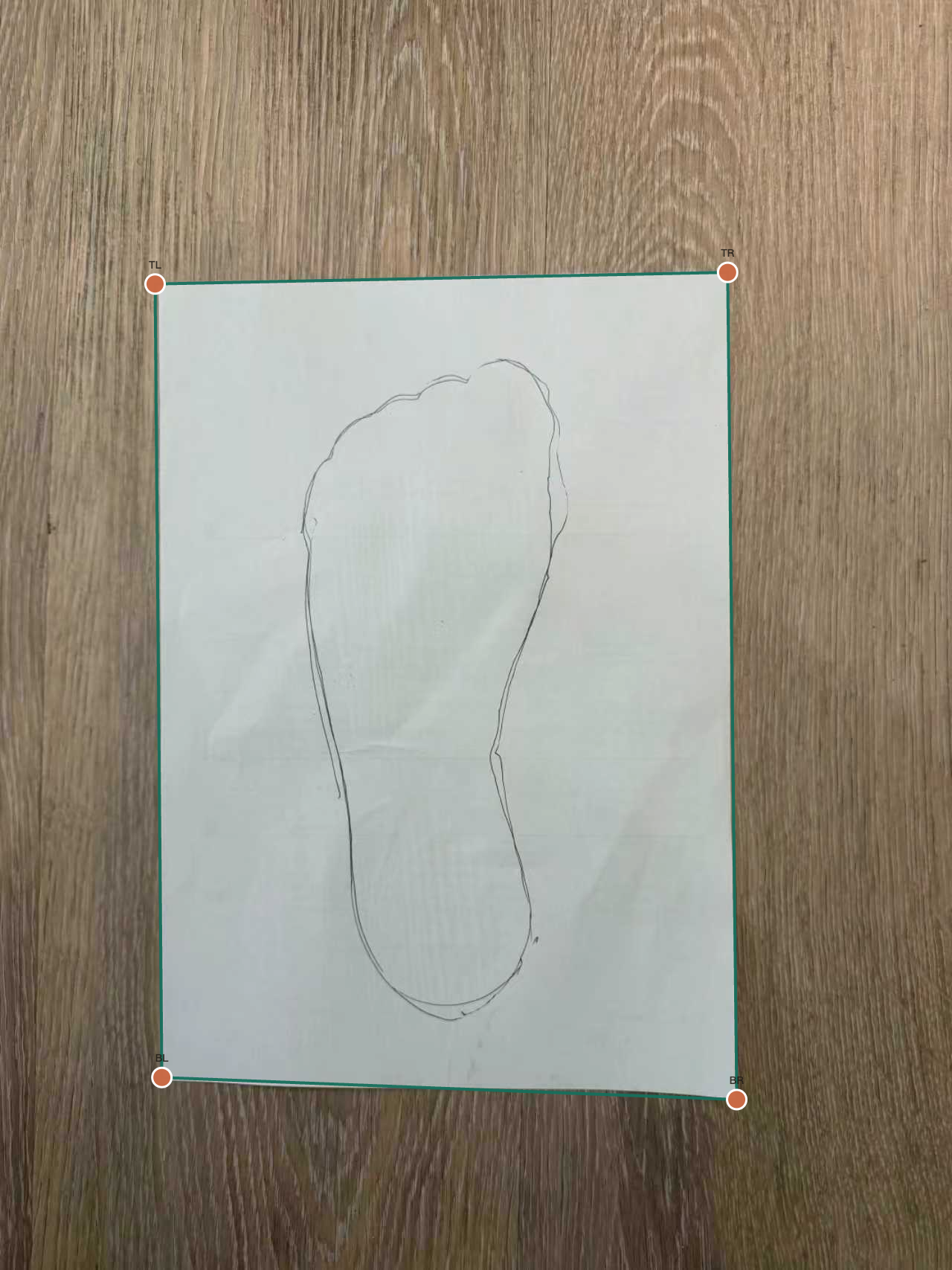 Example of the paper adjustment reference view